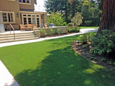 Artificial Grass Photos: Fake Pet Grass Lake Hughes California Landscape, Lawns